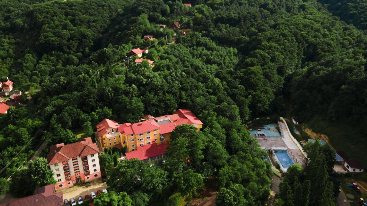 Aida Hotel Spa & Tratament Geoagiu Băi エクステリア 写真