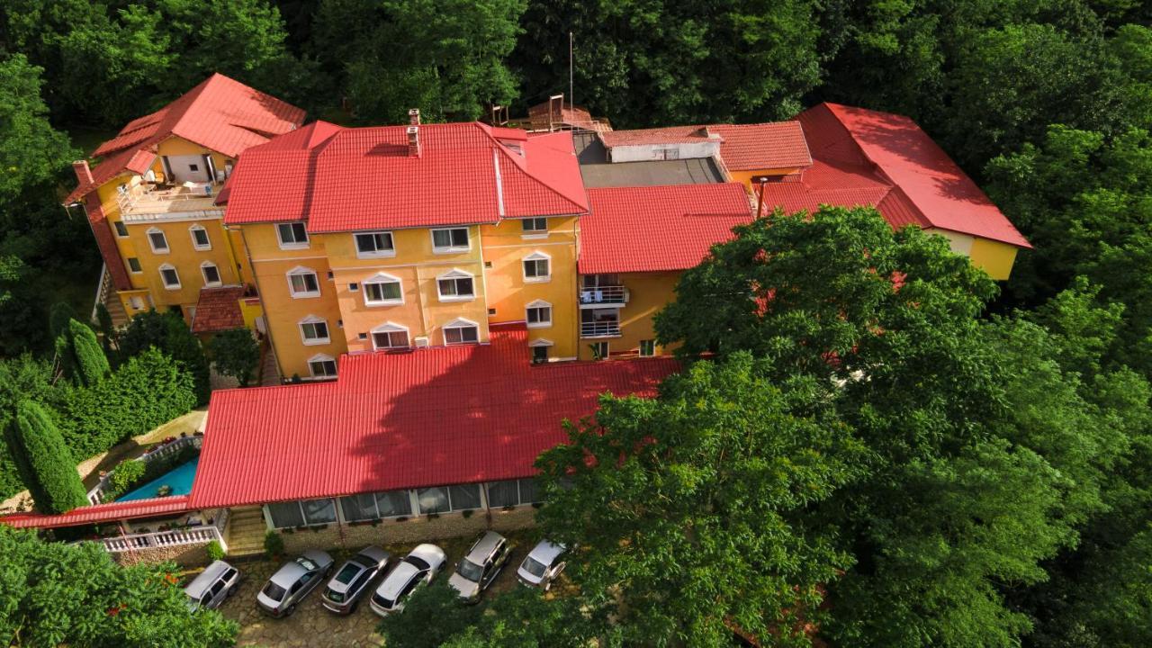 Aida Hotel Spa & Tratament Geoagiu Băi エクステリア 写真