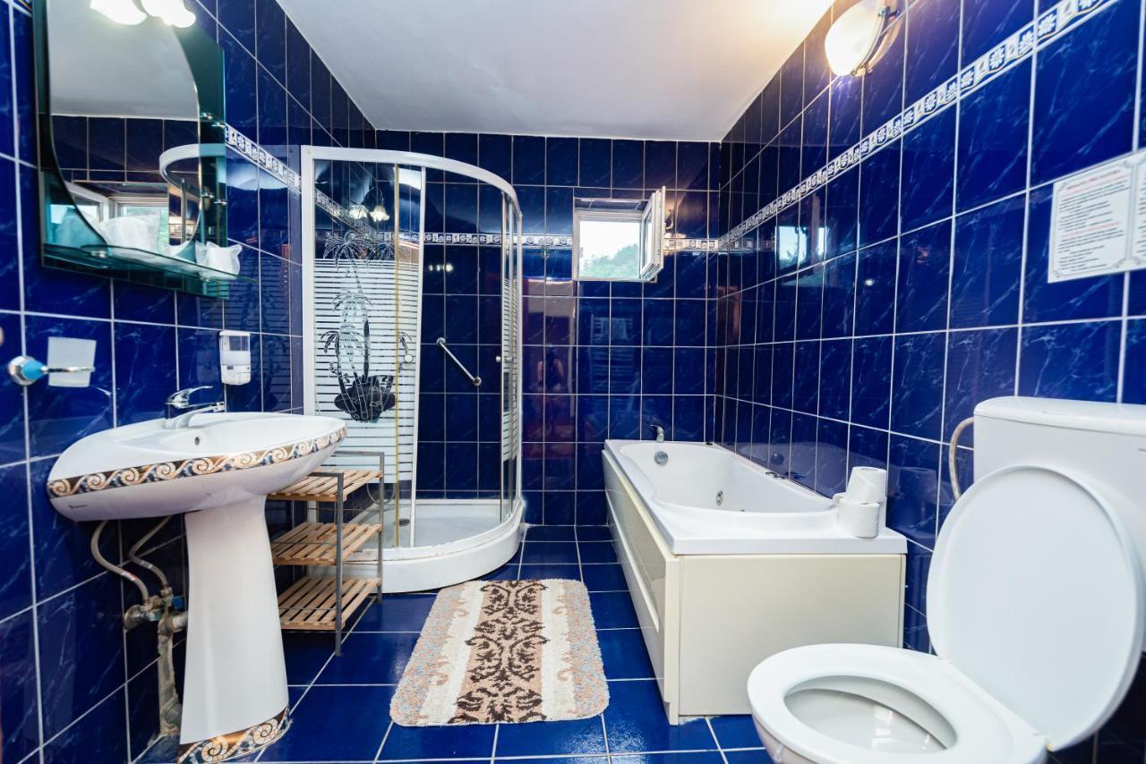 Aida Hotel Spa & Tratament Geoagiu Băi エクステリア 写真